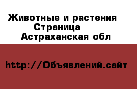  Животные и растения - Страница 14 . Астраханская обл.